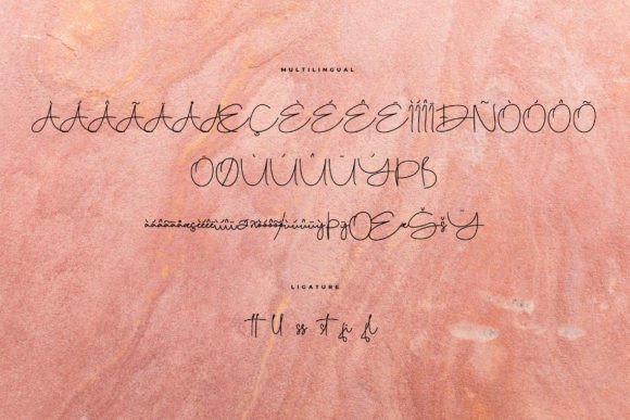 Bellogia Font Poster 6