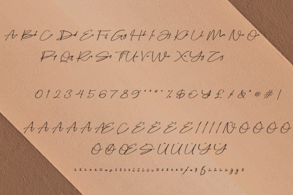 Bellogia Signature Font Poster 6