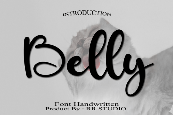 Belly Font Poster 1