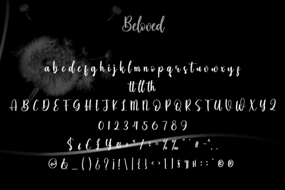 Beloved Font Poster 6