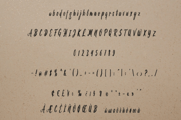 Belover Font Poster 6