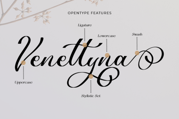 Benedica Font Poster 8