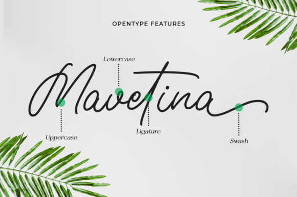 Berellina Font Poster 9