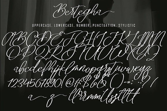 Bertegha Font Poster 9