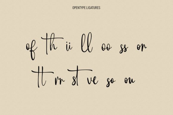 Berthillas Font Poster 9