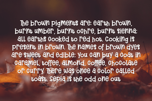 Bestie Font Poster 4