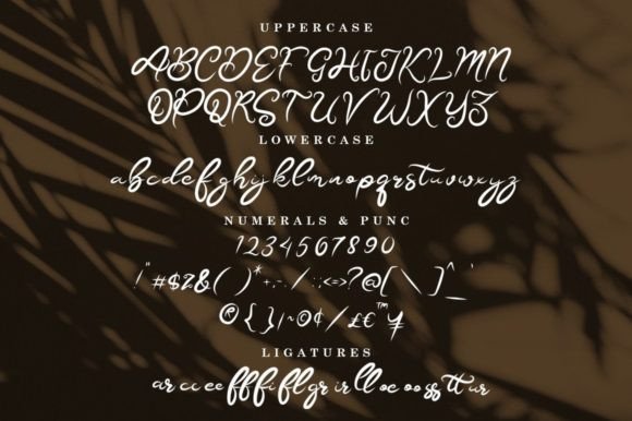 Bettarhiya Font Poster 8