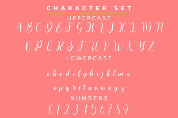 Bianca Font Poster 5