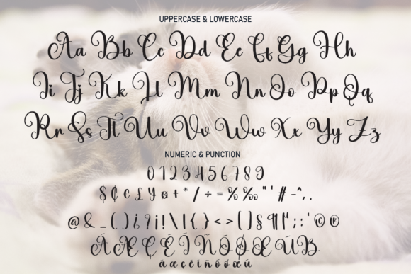 Billi Font Poster 7