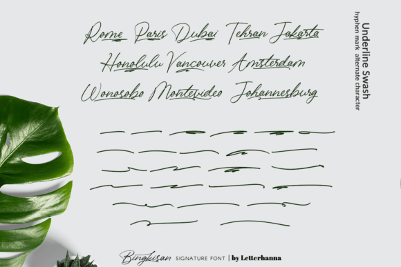 Bingkisan Font Poster 11