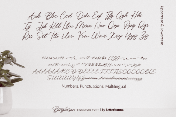 Bingkisan Font Poster 12