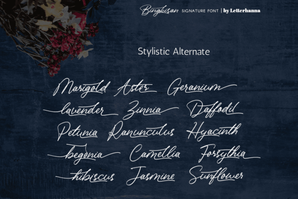 Bingkisan Font Poster 4