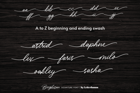 Bingkisan Font Poster 10
