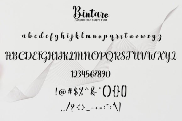 Bintaro Font Poster 8