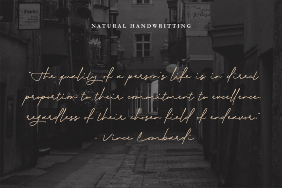 Biography Font Poster 5