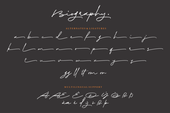 Biography Font Poster 7