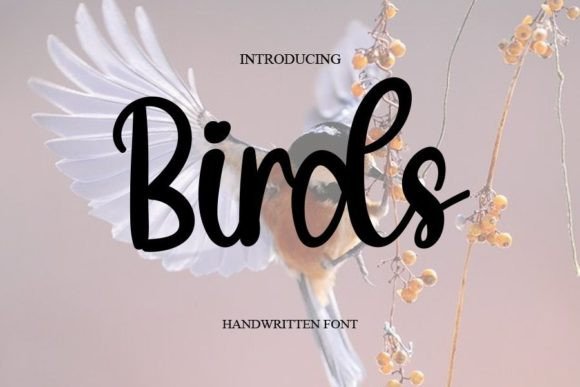 Birds Font Poster 1