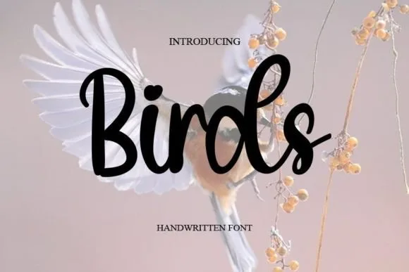 Birds Font Birds Font Poster 1