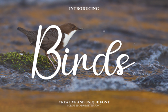 Birds Font Poster 1