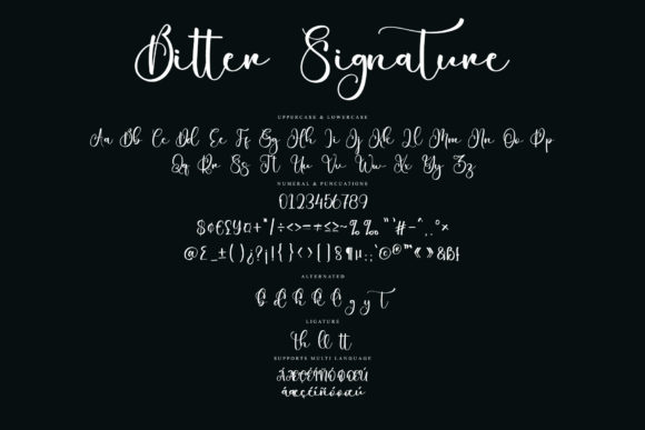 Bitter Signature Font Poster 6