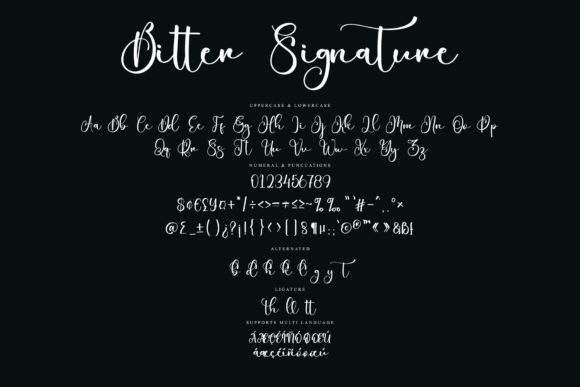 Bitter Signature Font Poster 6