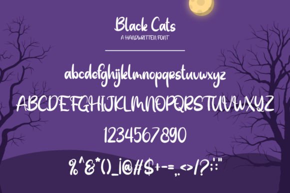 Black Cats Font Poster 7