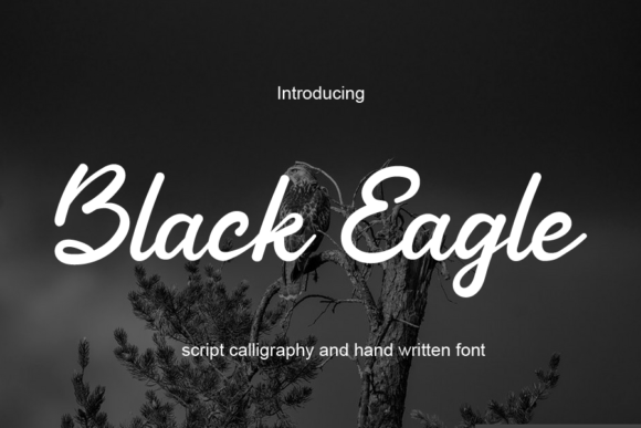 Black Eagle Font Poster 1