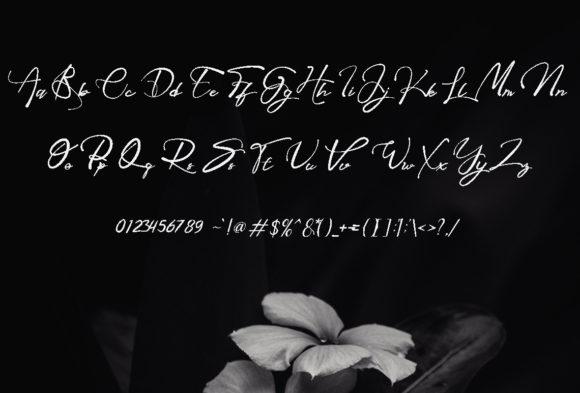 Black Outs Font Poster 2