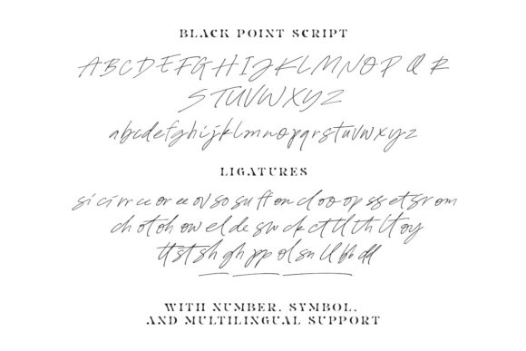 Black Point Duo Font Poster 8