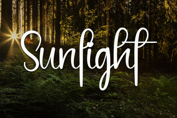 Black Signature Font Poster 2