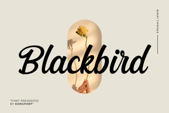 Blackbird Font Poster 1