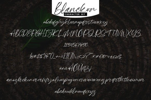 Blanckon Font Poster 5