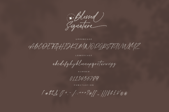 Blessed Signature Font Poster 4
