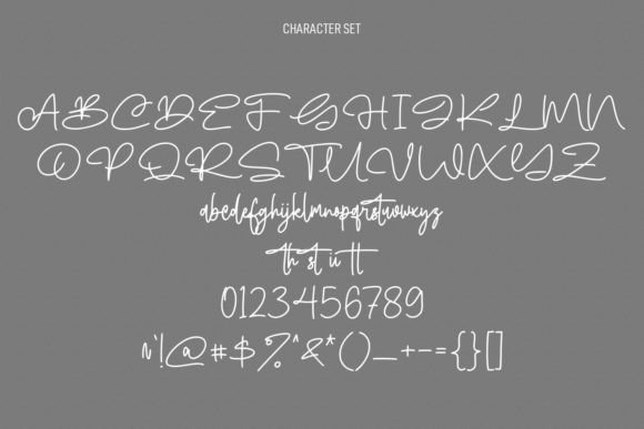 Blofishing Font Poster 8