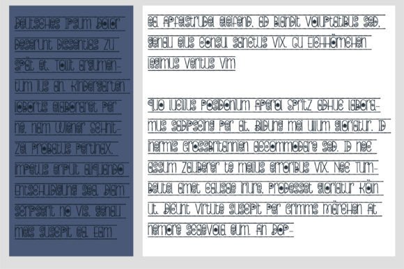 Bloomborder Font Poster 7