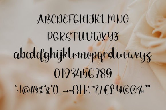 Blow Font Poster 4