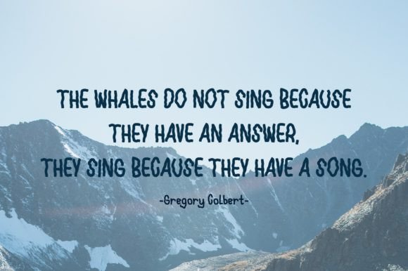 Blue Whale Font Poster 11