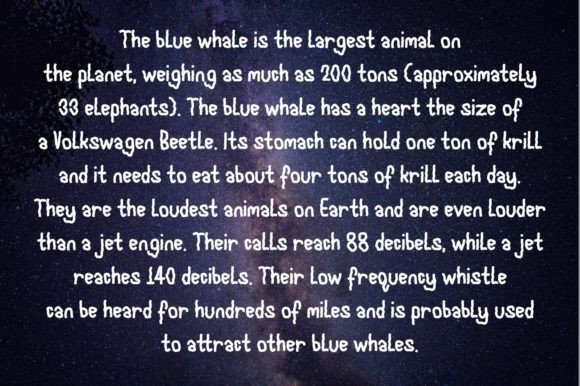 Blue Whale Font Poster 12