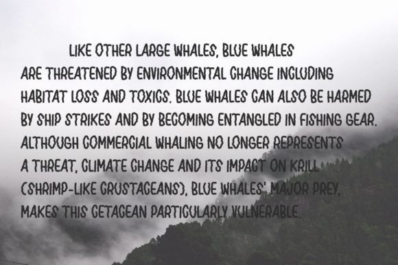 Blue Whale Font Poster 13