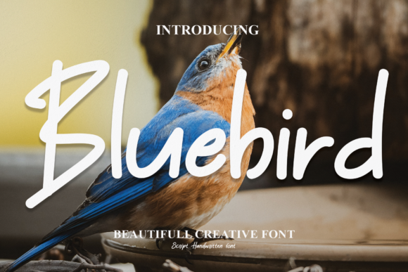 Bluebird Font Poster 1