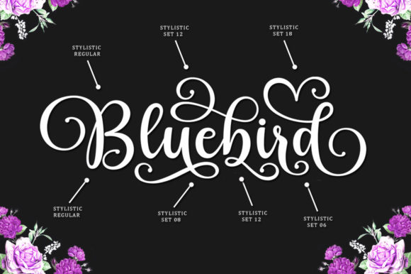 Bluebird Alishanty Font Poster 5