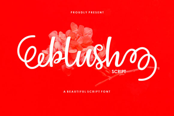 Blush Script Font