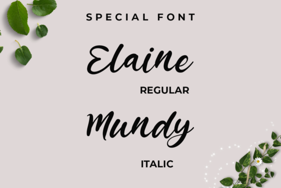 Bobbey Font Poster 4