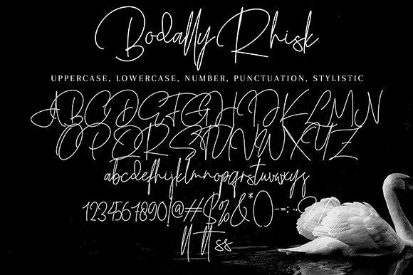 Bodally Rhisk Font Poster 10