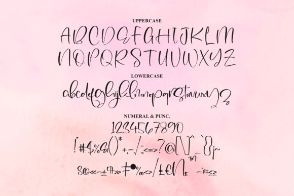 Bolaster Font Poster 13
