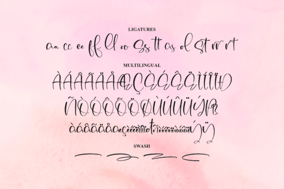 Bolaster Font Poster 14