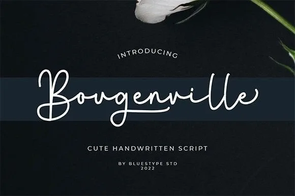 Bougenville Font Bougenville Font Poster 1