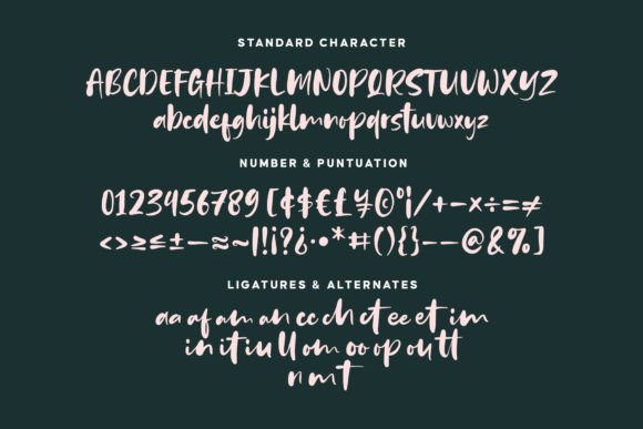 Bounches Font Poster 14