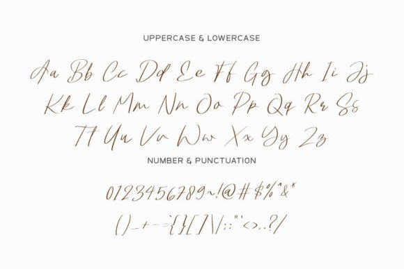 Bowthen Signature Font Poster 3