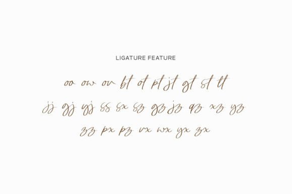 Bowthen Signature Font Poster 4